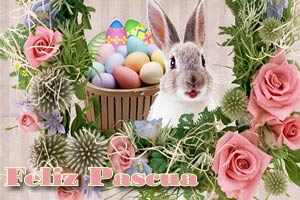 Im�genes conejos de Pascua
